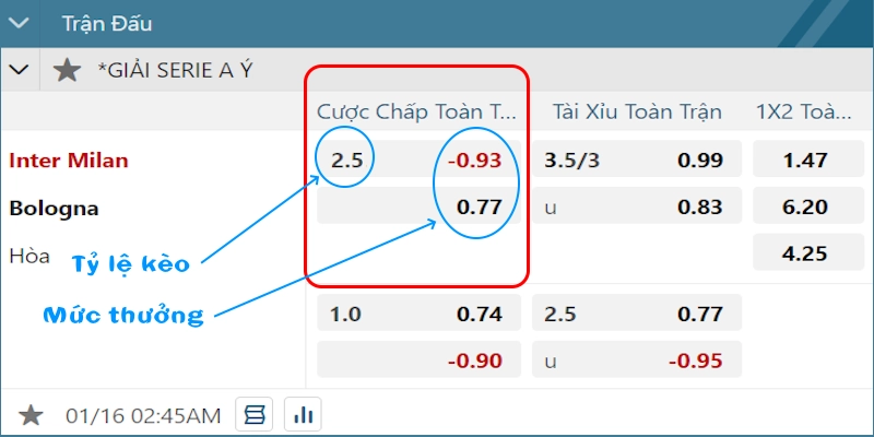 Kèo Chấp 2.5 Là Gì ? Nắm Bắt Chi Tiết Cùng Chuyên Gia XIN88 3 Ví dụ kèo chấp 2.5 là gì ?